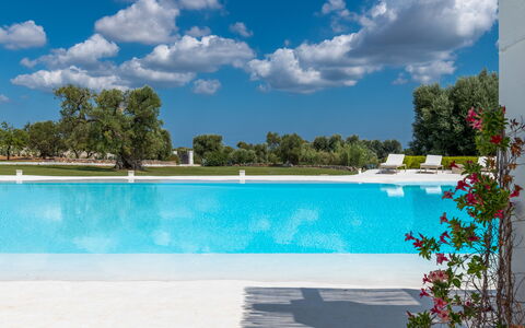 Masseria Isaia: Vand, Himmel, Sky, Plante, Ejendom, Svømmepøl, Blå, Azure, Træ, Udendørs Møbler
