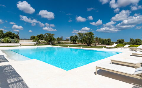 Masseria Isaia: Vand, Sky, Himmel, Svømmepøl, Azure, Træ, Udendørs Møbler, Skygge, Plante, Fritid