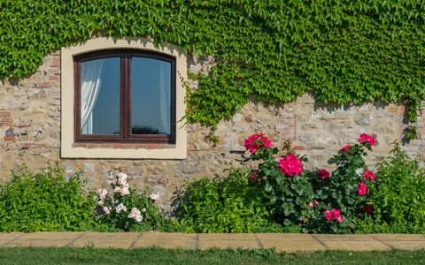 Villa Bagnoli: Blomst, Plante, Vindue, Blad, Botanik, Arkitektur, Vegetationen, Bygning, Rektangel, Græs