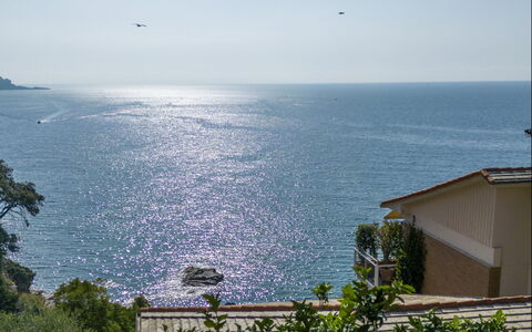 A Due Passi da Camogli 2, Seaview, Wifi: Vand, Himmel, Bygning, Azure, Vegetationen, Coastal Og Oceaniske Landskabsformer, Plante, Morgen, Horisont, Hus
