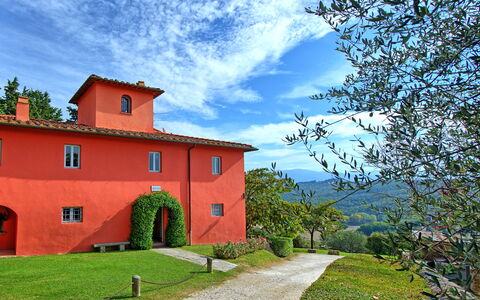 Villa Cona: Sky, Himmel, Plante, Bygning, Vindue, Natur, Træ, Naturlige Landskab, Land Lot, Sommerhus