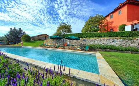 Villa Cona: Vand, Sky, Plante, Himmel, Daytime, Svømmepøl, Natur, Azure, Træ, Naturlige Landskab