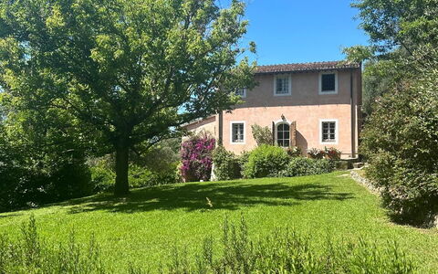 La Casa Dei Limoni, Camaiore, Pet Friendly, Wifi: Plante, Himmel, Daytime, Ejendom, Vindue, Bygning, Naturlige Landskab, Træ, Vegetationen, Land Lot