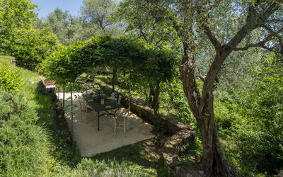 La Casa dei Limoni, Camaiore, Pet Friendly, Wifi - Camaiore, Toscana, Italien