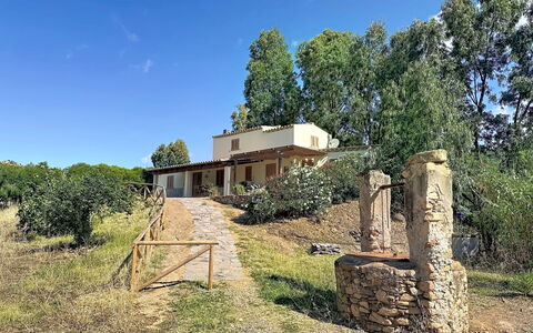 Eucalipto: Træ, Landdistrikt, Land Lot, Sommerhus, Estate, Stuehus, Backyard, Hacienda, Villa