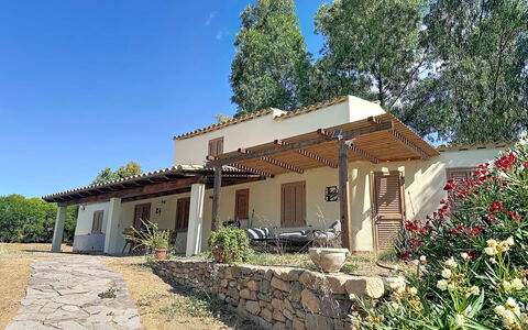 Eucalipto: Hjem, Hus, Sommerhus, Stuehus, Skygge, Estate, Have, Hacienda, Backyard, Gård