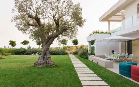 Splendida - Modica, Sicilia: Plante, Himmel, Grøn, Bygning, Træ, Land Lot, Skygge, Urban Design, Græs, Hus