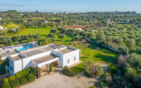 Masseriola Di Puglia: Plante, Ejendom, Bygning, Himmel, Naturlige Landskab, Træ, Land Lot, Urban Design, Græs, Landskab