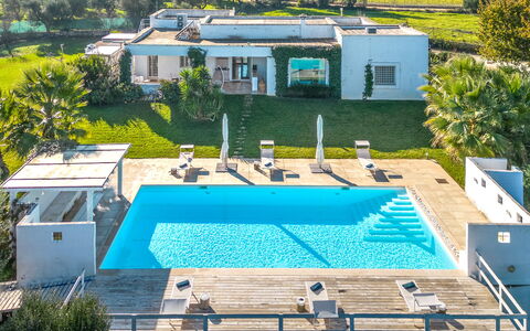 Masseriola Di Puglia: Plante, Bygning, Vindue, Grøn, Azure, Svømmepøl, Vand, Arkitektur, Skygge, Træ