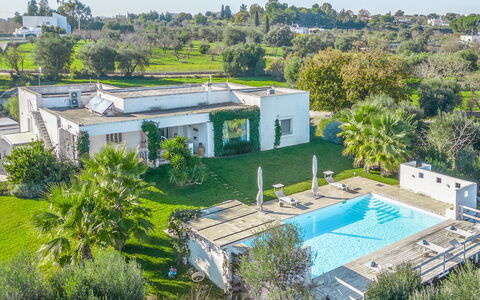 Masseriola Di Puglia: Plante, Bygning, Træ, Botanik, Land Lot, Vindue, Urban Design, Boligområde, Kvarter, Hus