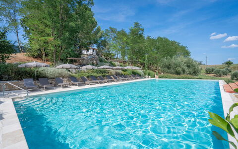 Coratina Spereto Apartment with Pool, Montaione: Vand, Plante, Vandressourcer, Ejendom, Himmel, Svømmepøl, Sky, Azure, Træ, Naturlige Landskab
