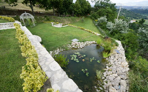 Luxury Villa Con Spa e Panorama a 40 Min Da Roma: Plante, Plantesamfund, Blomst, Botanik, Natur, Træ, Naturlige Landskab, Vegetationen, Græs, Land Lot
