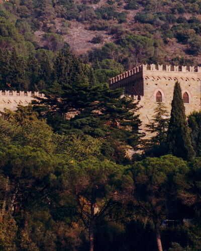 Palazzo Trasimeno: Plante, Naturlige Landskab, Bygning, Træ, Vegetationen, Landskab, City, Slot, Bakke, Middelalderlig Arkitektur