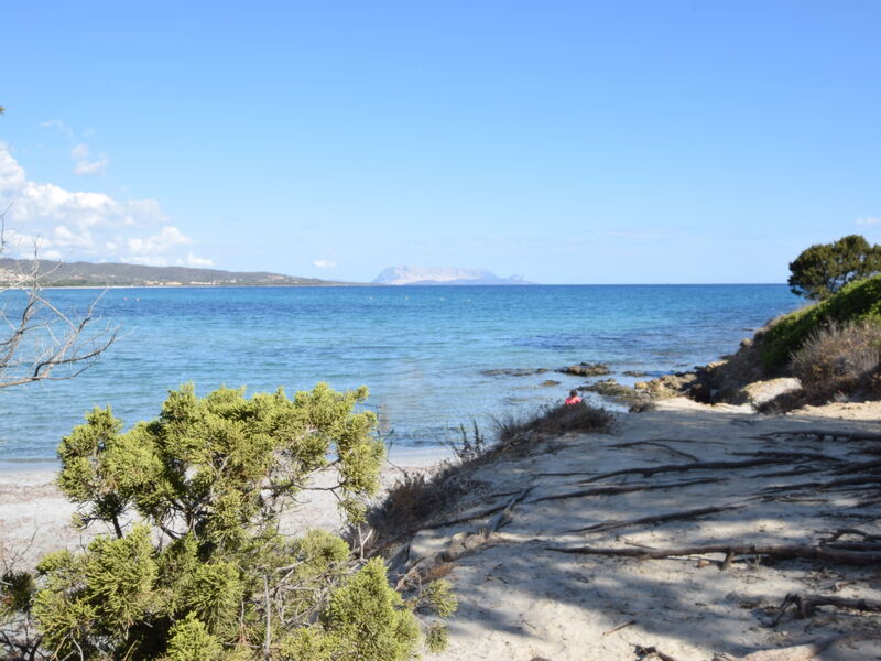 Appartamento Michela In Budoni, Sardegna Vista Mar