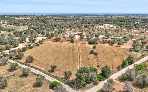 Lamia del Grano: Himmel, Plante, Plantesamfund, Økoregion, Træ, Land Lot, Sky, Vegetationen, Urban Design, Boligområde