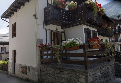 Appartamento Piazza Centrale: Plante, Bygning, Ejendom, Vindue, Blomsterkrukke, Dør, Hus, Stueplante, Træ, Vejbelægning