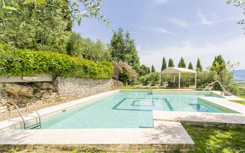 Villa Montegattoli, Pool, Landscape, Wifi, Ac: Plante, Vand, Himmel, Sky, Svømmepøl, Træ, Skygge, Græs, Naturlige Landskab, Fritid