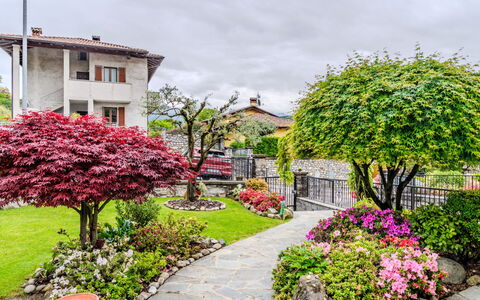 Nonna Grazia: Blomst, Plante, Himmel, Bygning, Sky, Vindue, Gadebelysning, Botanik, Hus, Græs