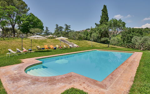 Villa Conte Jacopo: Vand, Ejendom, Himmel, Svømmepøl, Natur, Træ, Skygge, Rektangel, Plante, Græs