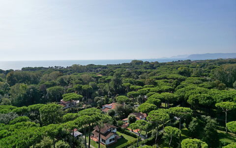 Villa Maddalena: Himmel, Plante, Naturlige Landskab, Træ, Land Lot, Sky, Landskab, Græs, Almindeligt, Horisont