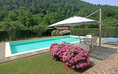 Villa Carducci: Himmel, Plante, Vand, Ejendom, Svømmepøl, Paraply, Blomst, Udendørs Møbler, Skygge, Træ
