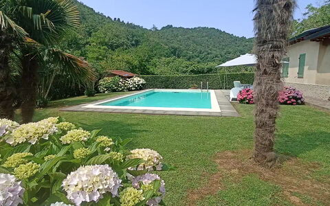 Villa Carducci: Plante, Vand, Blomst, Himmel, Botanik, Grøn, Azure, Træ, Naturlige Landskab, Svømmepøl