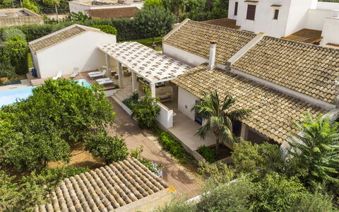 Villa Terrenove: Bygning, Plante, Vindue, Botanik, Land Lot, Urban Design, Vegetationen, Træ, Biome, Tag