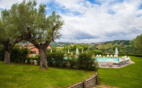 Villa Angelica: Sky, Himmel, Plante, Natur, Naturlige Landskab, Træ, Vegetationen, Land Lot, Græs, Landskab
