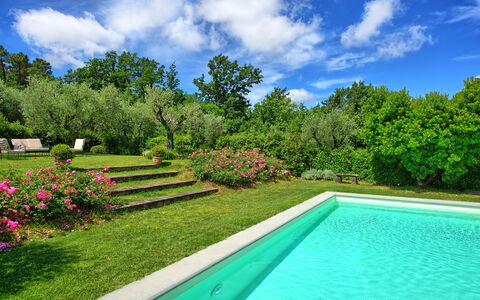 Villa Mami: Plante, Vand, Himmel, Sky, Ejendom, Grøn, Naturlige Landskab, Træ, Blomst, Græs
