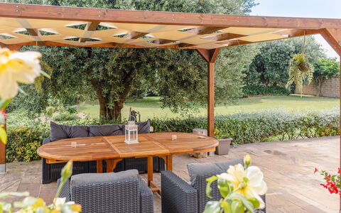 Cyca Holiday Home: Plante, Blomst, Bord, Ejendom, Møbel, Botanik, Udendørs Bord, Skygge, Udendørs Møbler, Gul