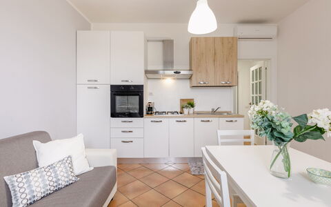 Cyca Holiday Home: Møbel, Blomst, Cabinetry, Ejendom, Countertop, Plante, Indretning, Couch, Komfur