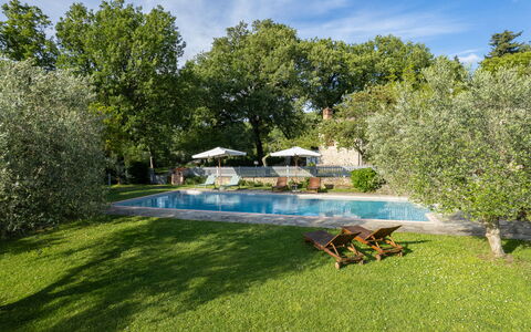 Villa Ida: Plante, Himmel, Vand, Sky, Svømmepøl, Naturlige Landskab, Træ, Udendørs Møbler, Skygge, Græs