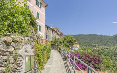 Emma House, Terrace and Sea View, Moneglia: Plante, Himmel, Ejendom, Bygning, Vindue, Vegetationen, Hældning, Blomst, Træ, Væg