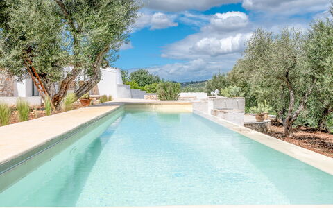 Villa La Selva: Vand, Himmel, Sky, Ejendom, Plante, Svømmepøl, Azure, Træ, Skygge, Kompositmateriale