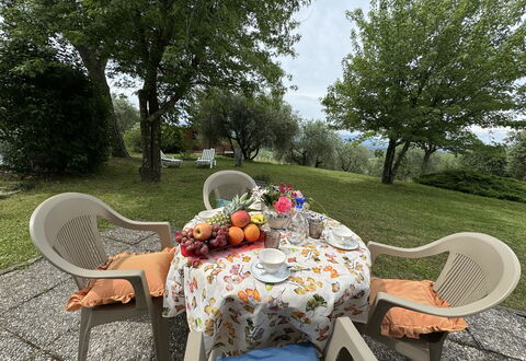 Pinocchio: Bord, Plante, Møbel, Ejendom, Stol, Udendørs Bord, Bordservice, Træ, Udendørs Møbler, Naturlige Landskab