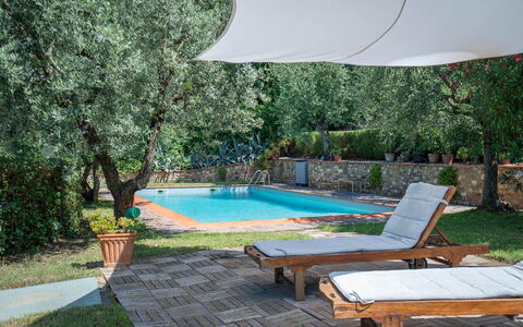 Chianti Hills Apartment, Pool, Ac: Plante, Vand, Ejendom, Møbel, Svømmepøl, Skygge, Udendørs Møbler, Indretning, Liggestol, Træ