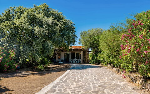 La Casa dei Nonni: Busk, Have, Skygge, Flise, Landscaping, Gård, Indkørsel, Hacienda, Backyard, Stuehus