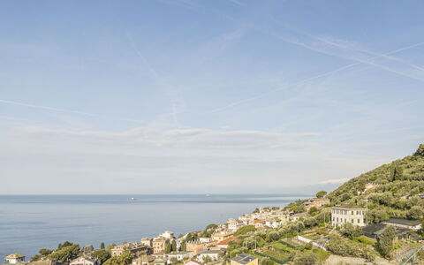 Pieve Ligure Seaside View, Wifi: Blå, Vand, Bygning, Boligområde, Horisont, Kyst, Hav, Sommer, Coastal Og Oceaniske Landskabsformer, Hus