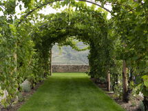 B&b Vigne Di Fagnano Without Kitchen