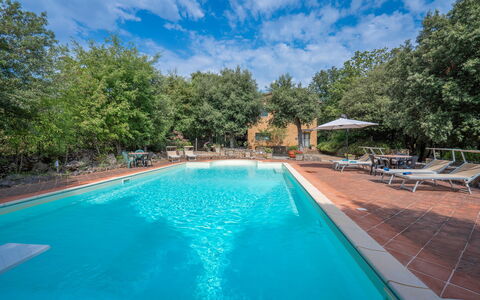 Santa Colomba House, Siena, Nature And Pool: Vand, Sky, Plante, Ejendom, Himmel, Svømmepøl, Azure, Træ, Stol, Skygge