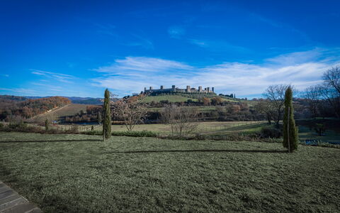 Santa Colomba House, Siena, Nature And Pool: Græs, Græs-, Landskab, Almindeligt, Land Lot, Landdistrikt, Mark, Pasture, Eng, Prærie