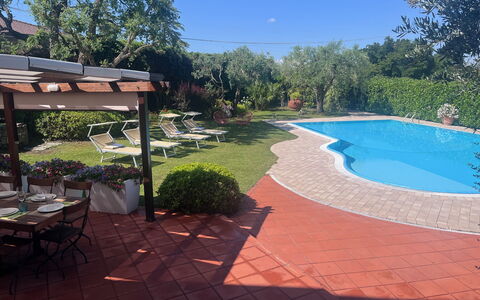 Villapronti: Plante, Vand, Himmel, Skygge, Udendørs Møbler, Træ, Svømmepøl, Blomsterkrukke, Bord, Landskab