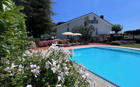 Villapronti: Vand, Plante, Blomst, Ejendom, Bygning, Himmel, Svømmepøl, Træ, Stol, Hus