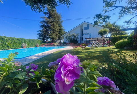 Villapronti: Blomst, Plante, Himmel, Plantesamfund, Botanik, Blad, Purple, Vegetationen, Naturlige Landskab, Kronblad