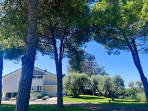 Villapronti