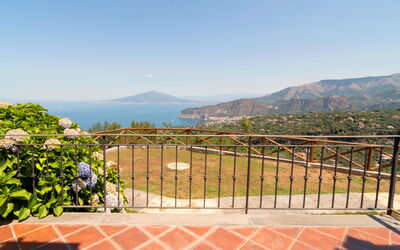Blue Dream