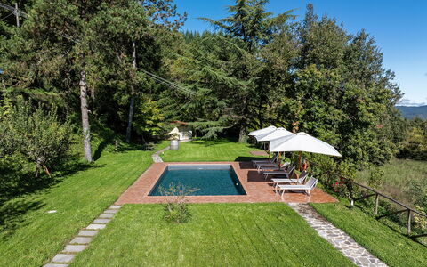 Villa Chicco: Plante, Himmel, Paraply, Botanik, Træ, Skygge, Land Lot, Græs, Svømmepøl, Fritid