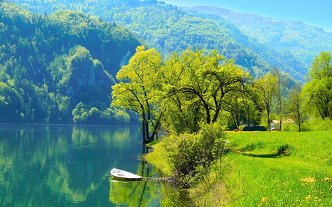 Apartment With Garden, Del Corlo Lake, Belluno: Vand, Himmel, Plante, Grøn, Bjerg, Azure, Naturlige Landskab, Træ, Highland, Sø