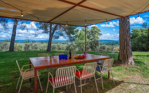 Poggetti San Luigi Country Home Follonica: Bord, Plante, Møbel, Ejendom, Sky, Natur, Himmel, Stol, Skygge, Udendørs Bord