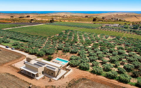 Cavial: Himmel, Plante, Ejendom, Plantesamfund, Blomst, Land Lot, Træ, Naturlige Landskab, Landbrug, Landskab